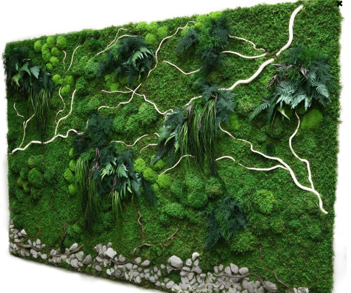 Moss Walls Red Square Flowers