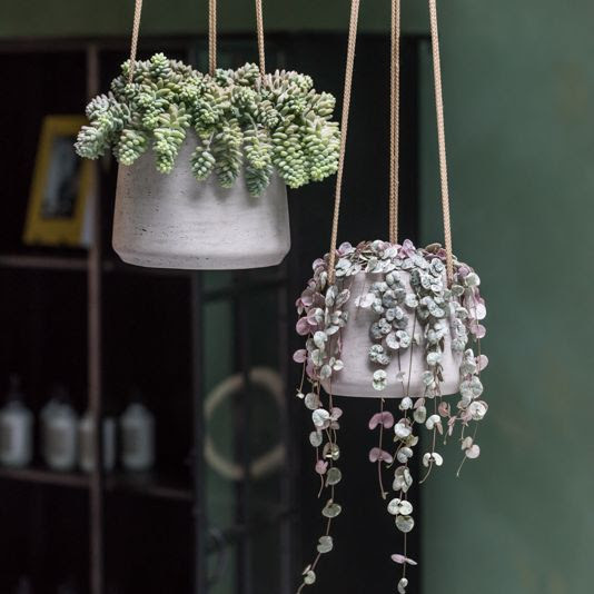 Hanging Grey Planters Red Square Flowers