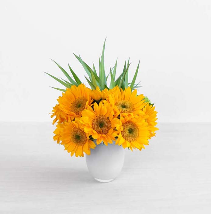 Sunflower Glow Flowers Delivery Red Square Flowers