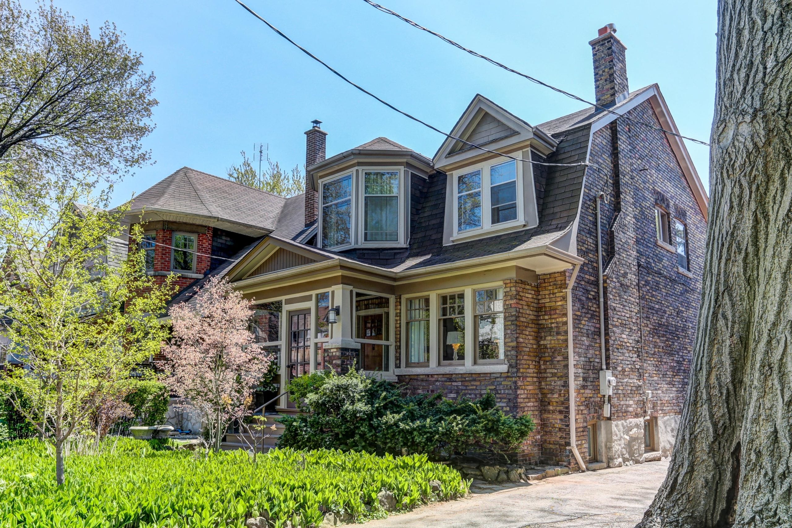 Neighbours of Bloor West Village Magazine Red Square Team