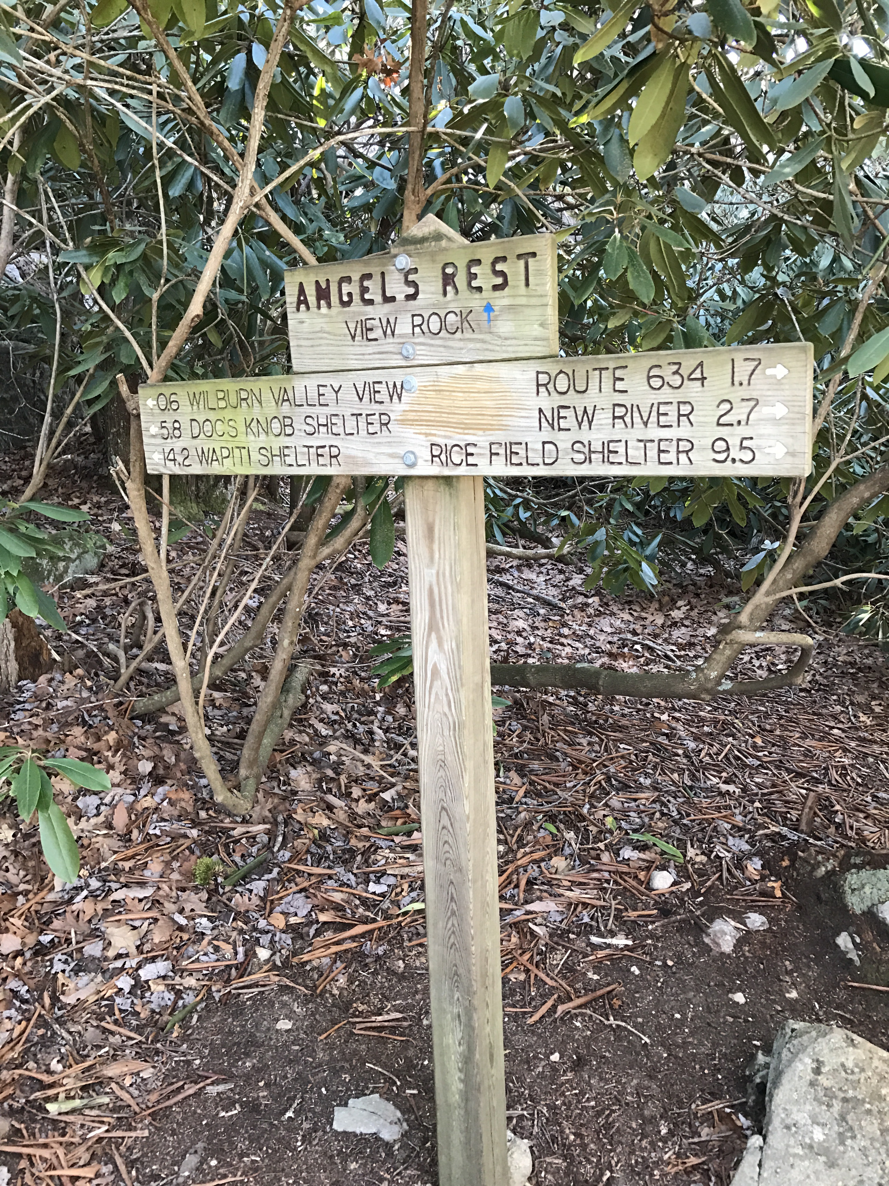 3 Wapiti shelter to Pearisburg Birthday Girl Hikes