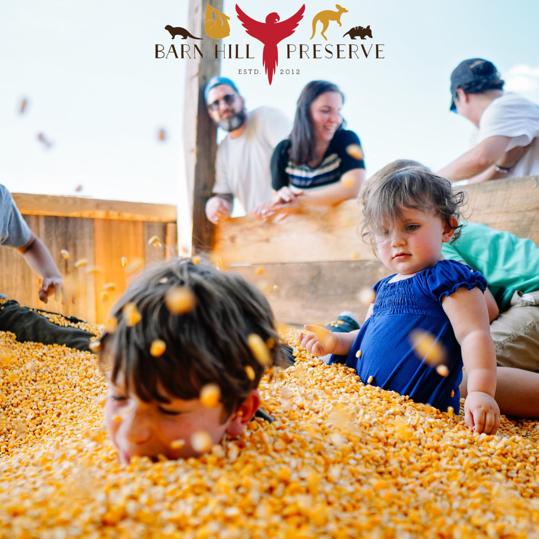 Guide to Baton Rouge Area Pumpkin Patches & Fall Fests