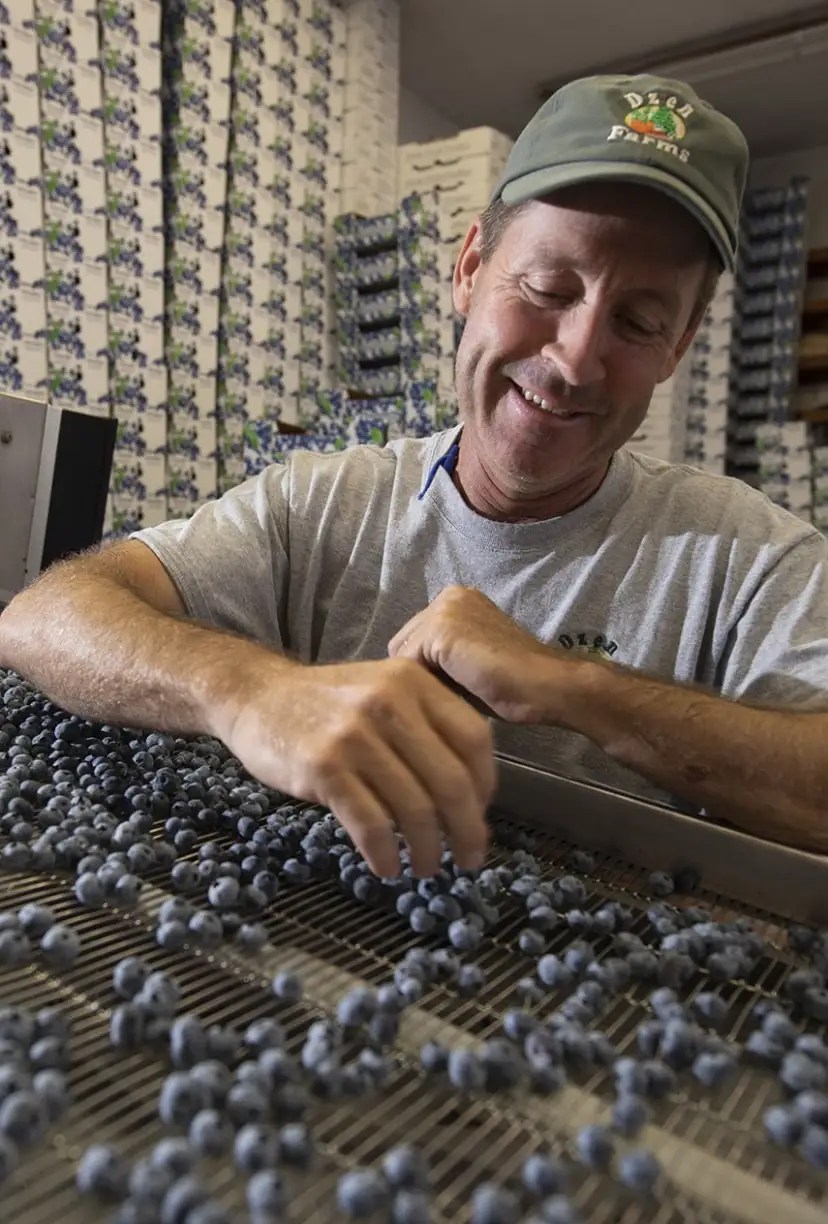 Dzen Farms Ellington, CT Red Tomato