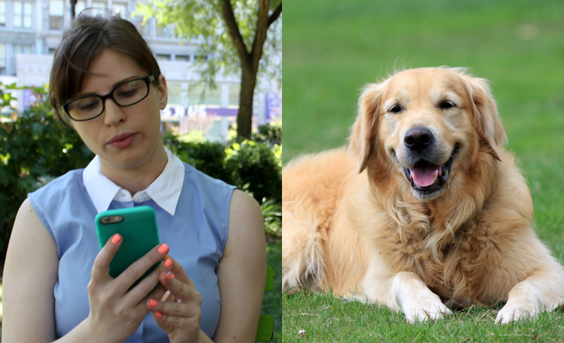 Reductress » How To Unfollow This Dog on Instagram Without Making It a