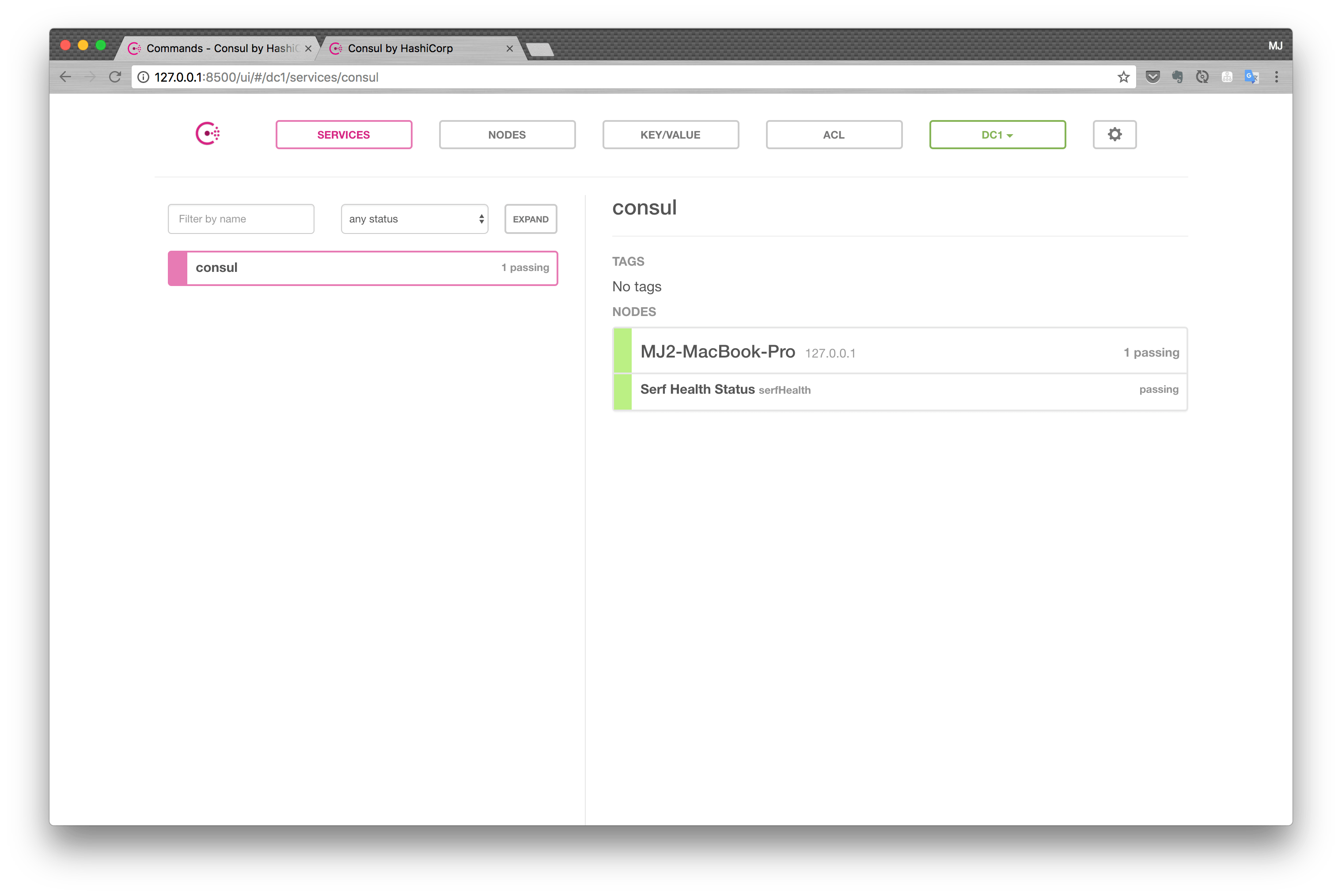 Spring Cloud Consul DevOOOOOOOOP