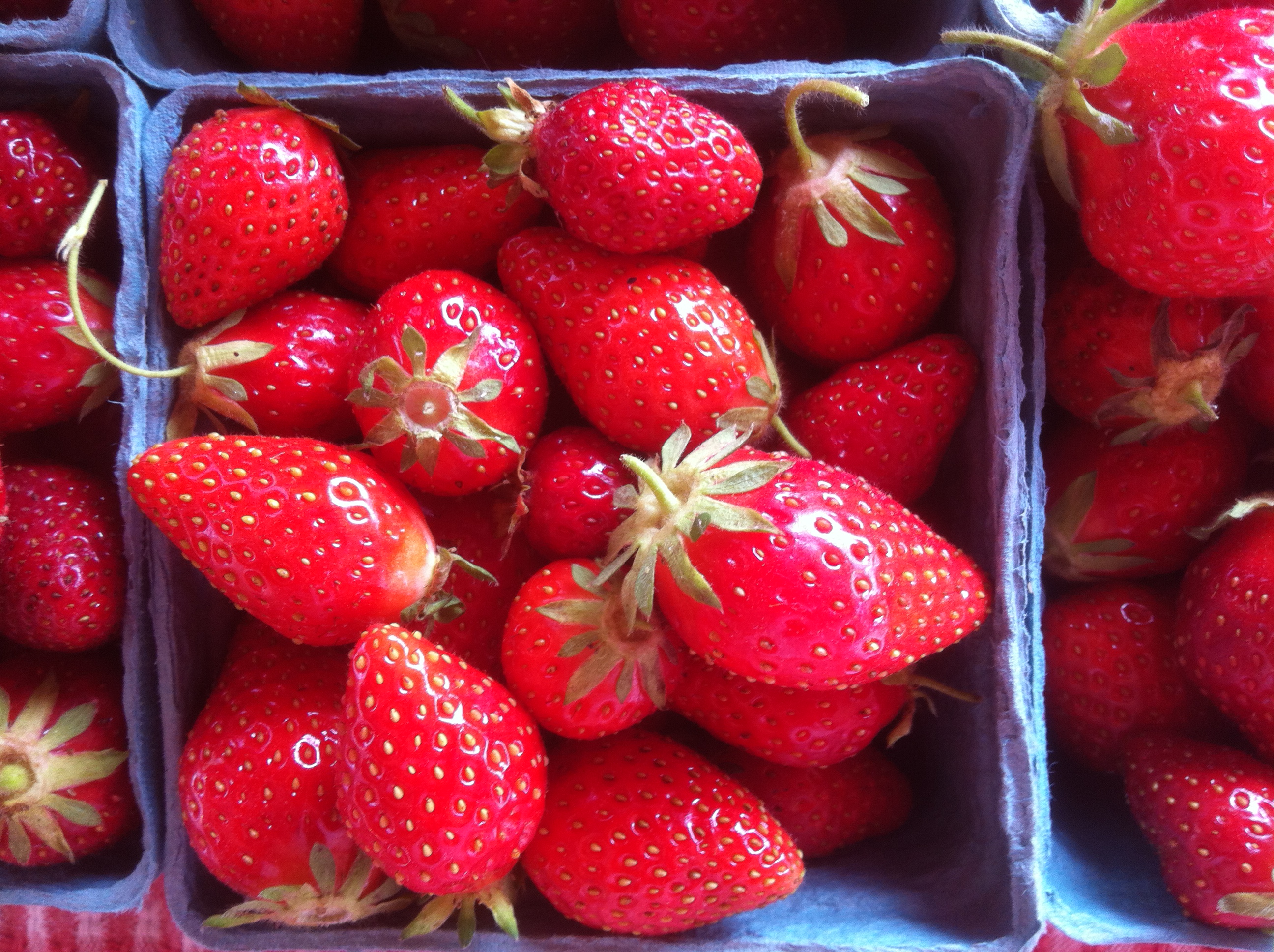 Why do our strawberries taste so good? Red Wagon Farm
