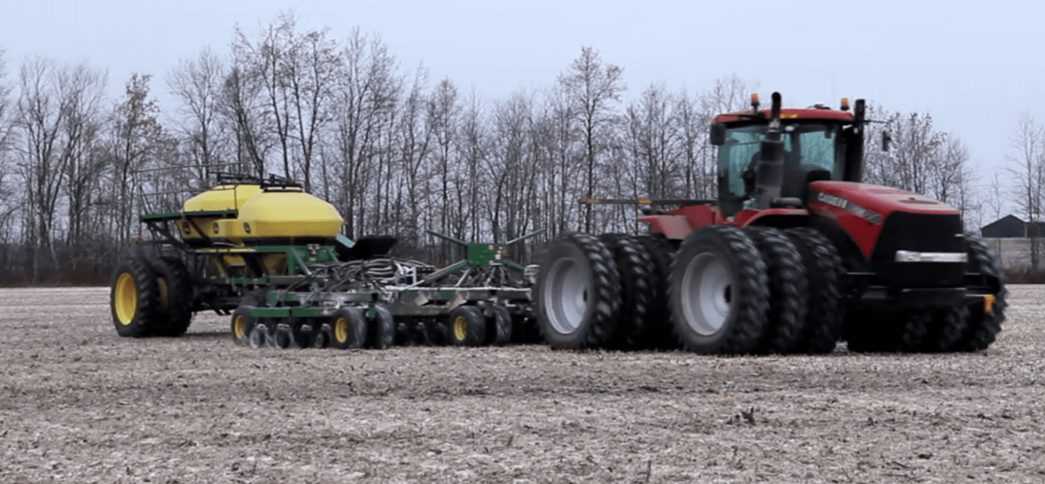 Tips for Frost Seeding Wheat C&M Seeds
