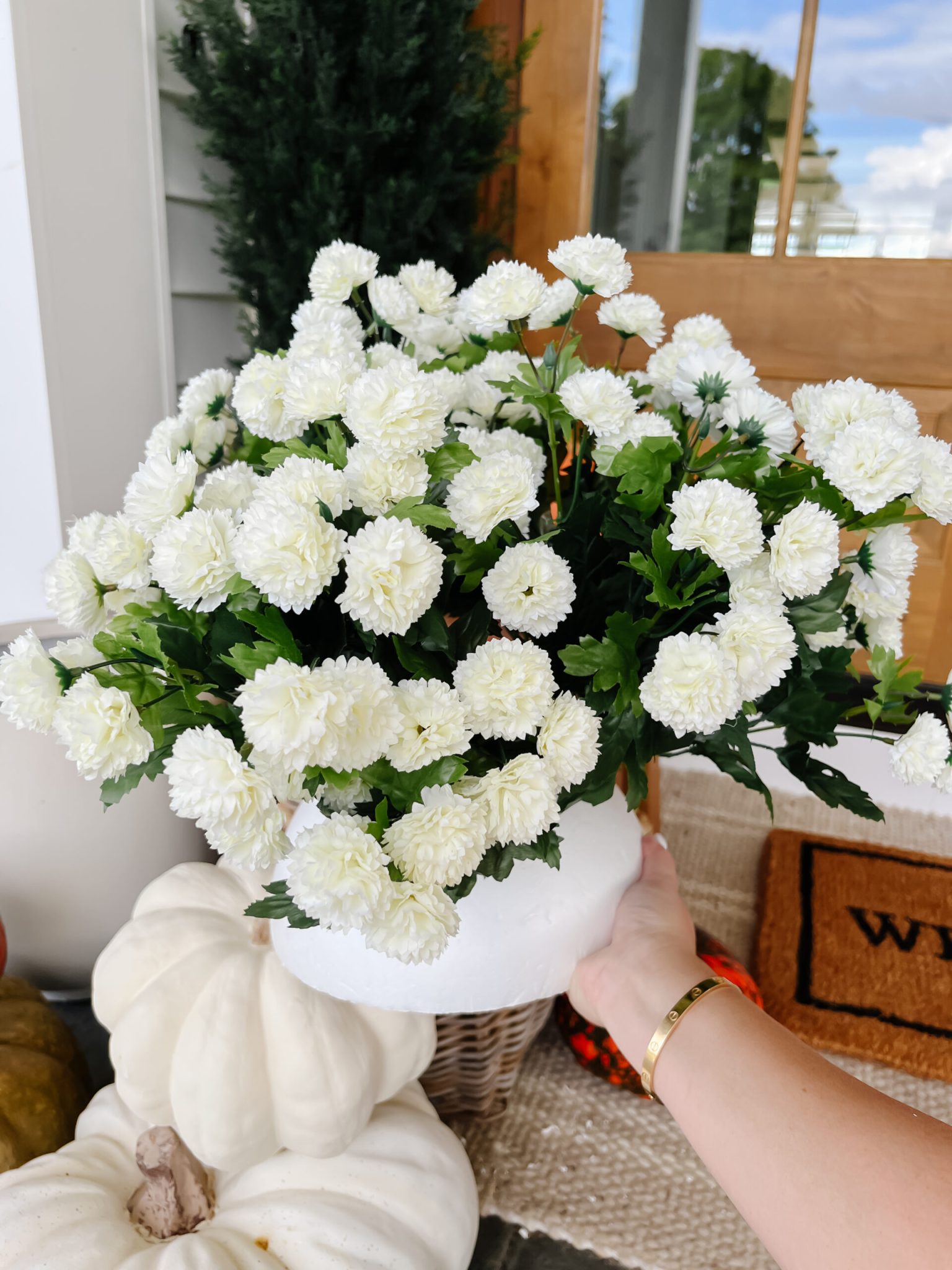 Faux Mums In Pots - 9k81v8l