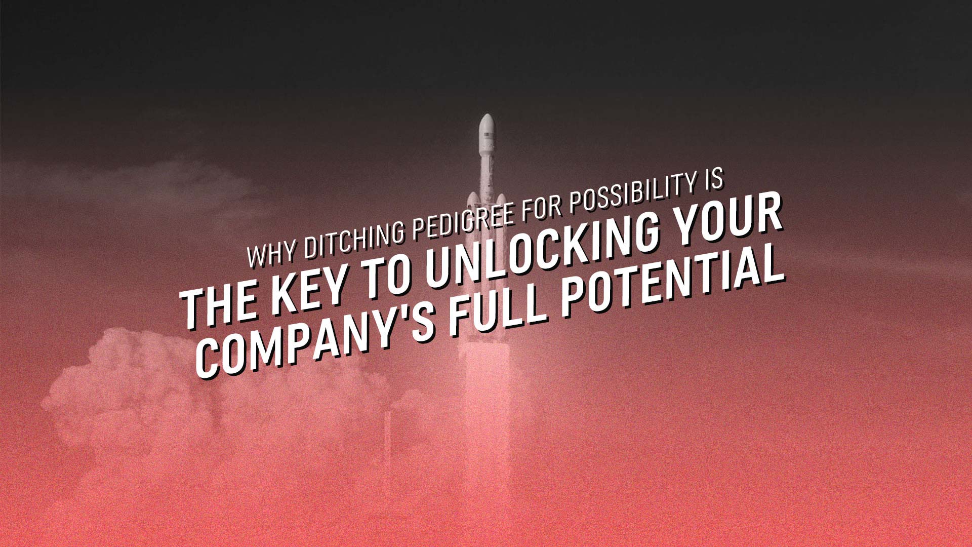 Why Ditching Pedigree for Possibility is the Key to Unlocking Your