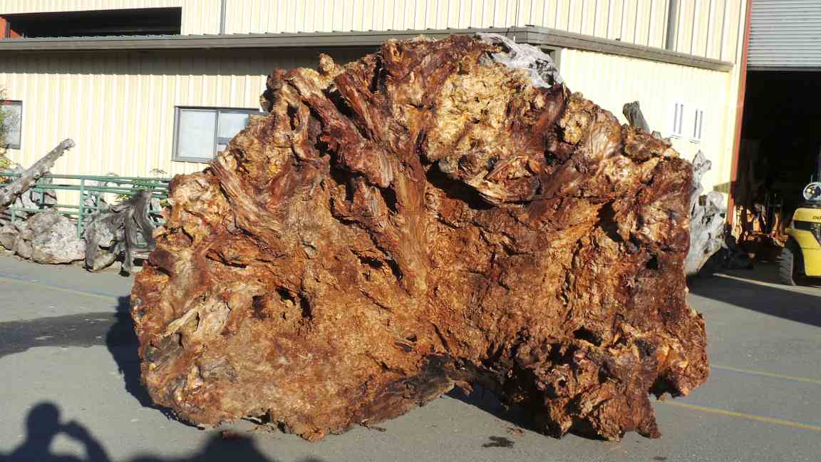 Redwood Landscape Pieces Archives Redwood Burl Inc.