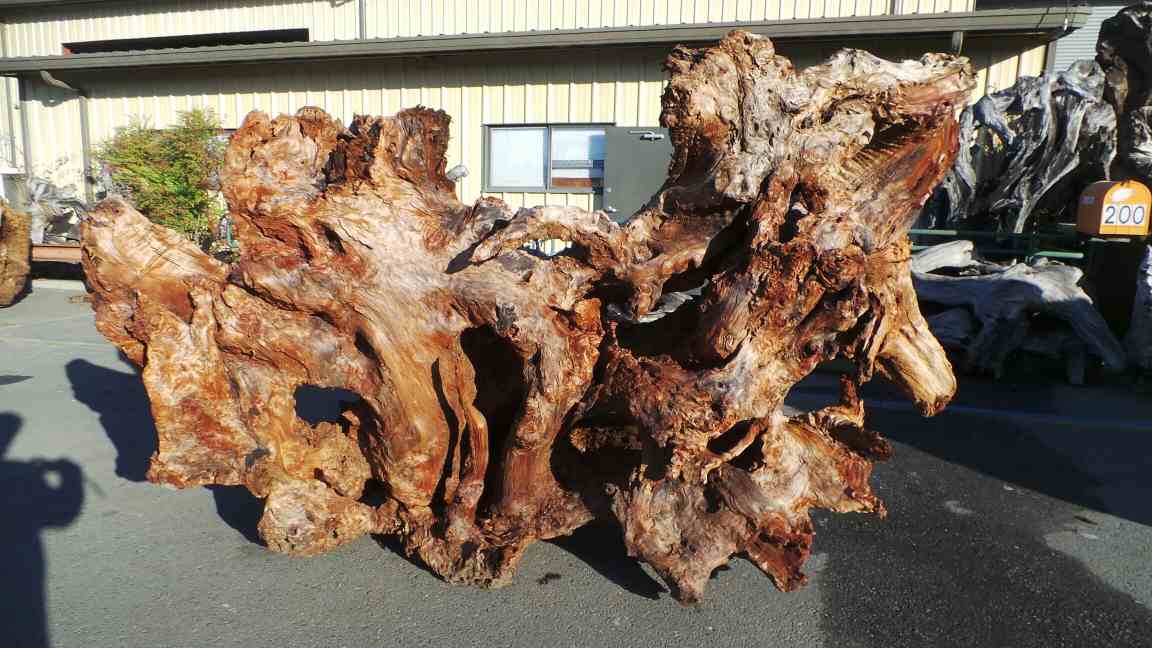 Tree Stump Decoration And Root Artworks Ls 118 Redwood Burl