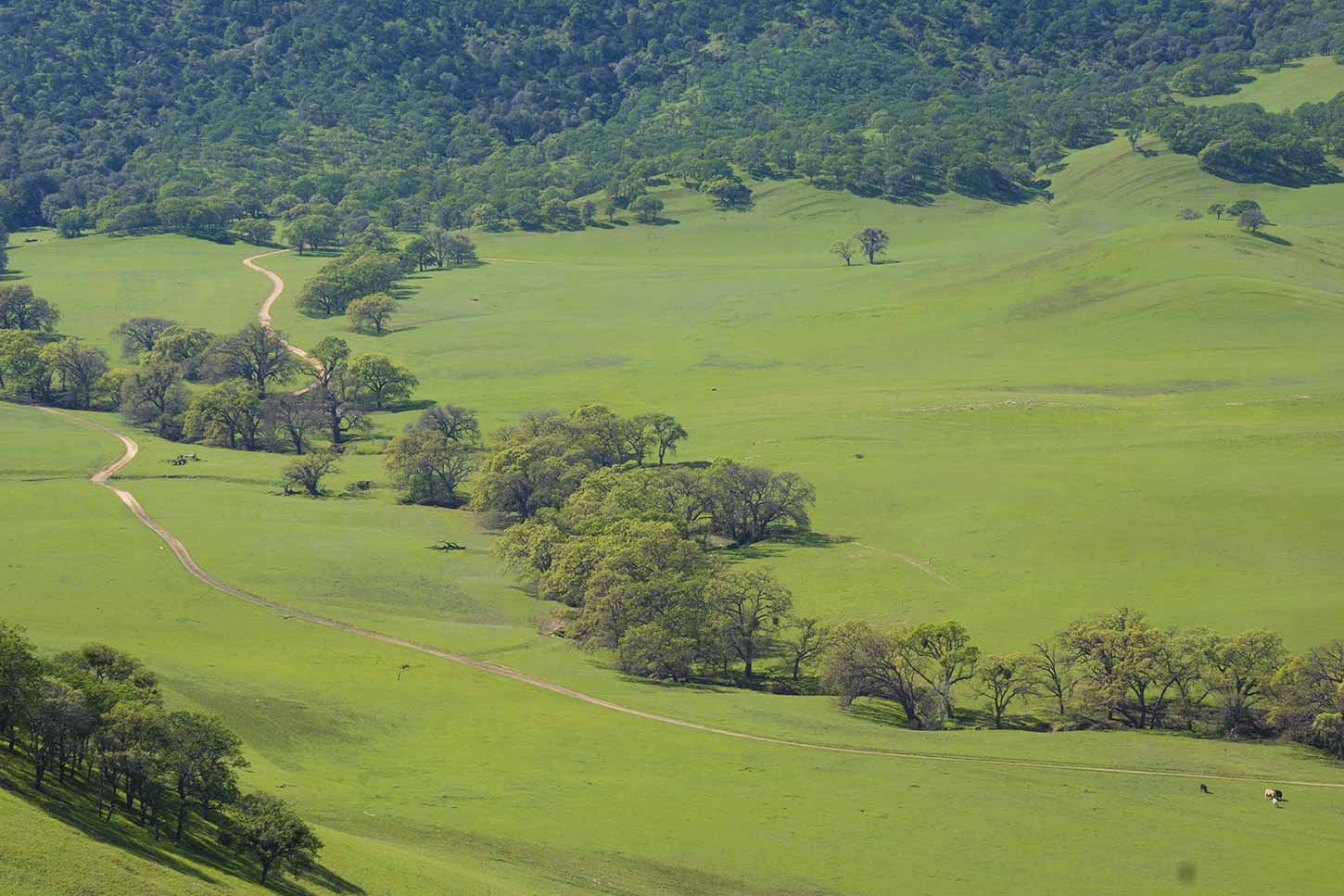 Round Valley Regional Preserve
