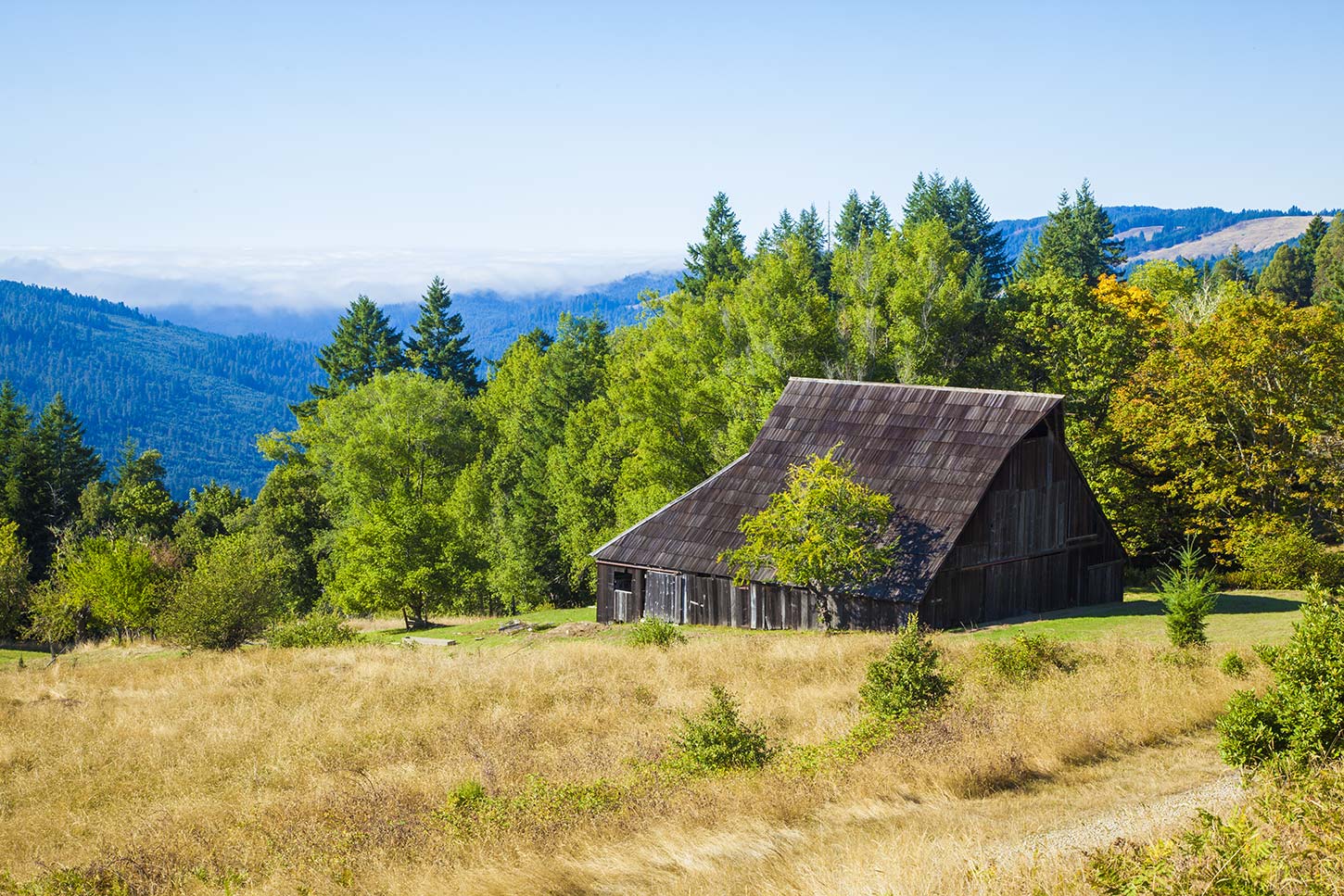 The Lyons Ranch Trail