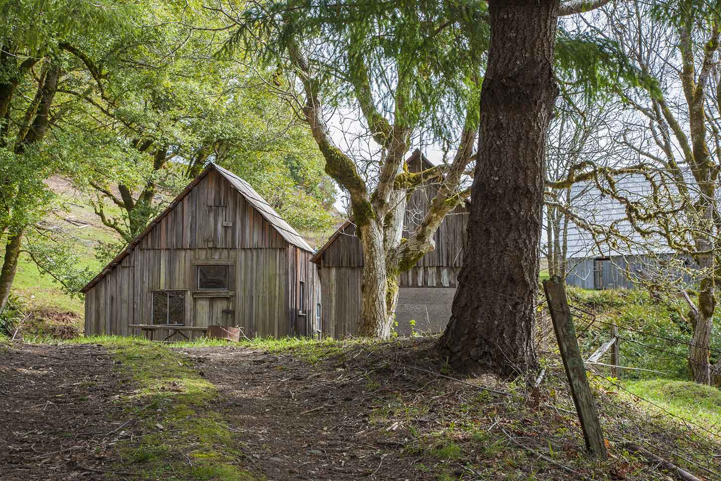 The Lyons Ranch Trail