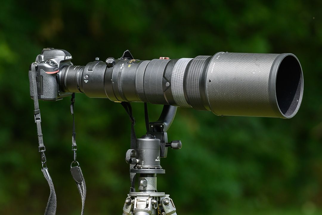 Bird Photography Challenges and Solutions Reed Hoffmann