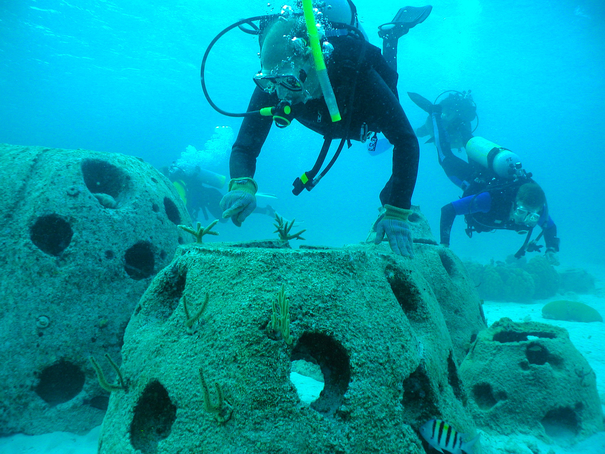 Reef Ball world images Projects, People. Habitats Reef Ball Foundation