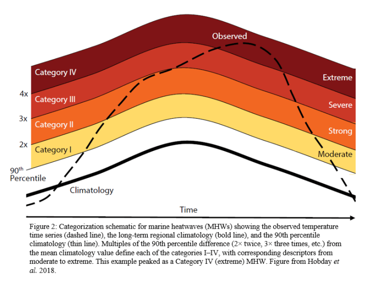 Killer Temperatures Measuring Thermal Stress and Marine Heatwaves