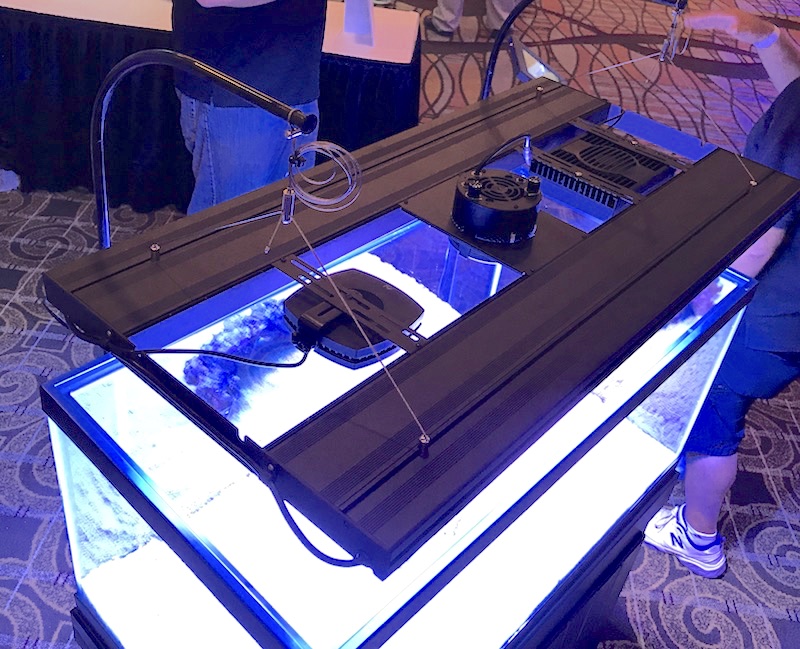 Get The Best of Both Worlds With The AquaticLife T5HO Hybrid Fixture