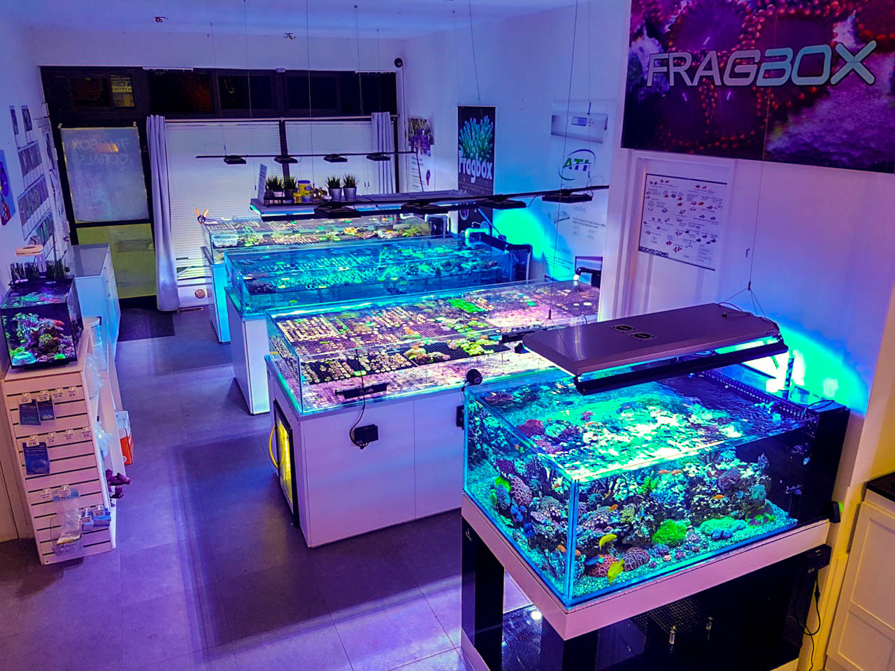 Reef Aquarium Store lupon.gov.ph