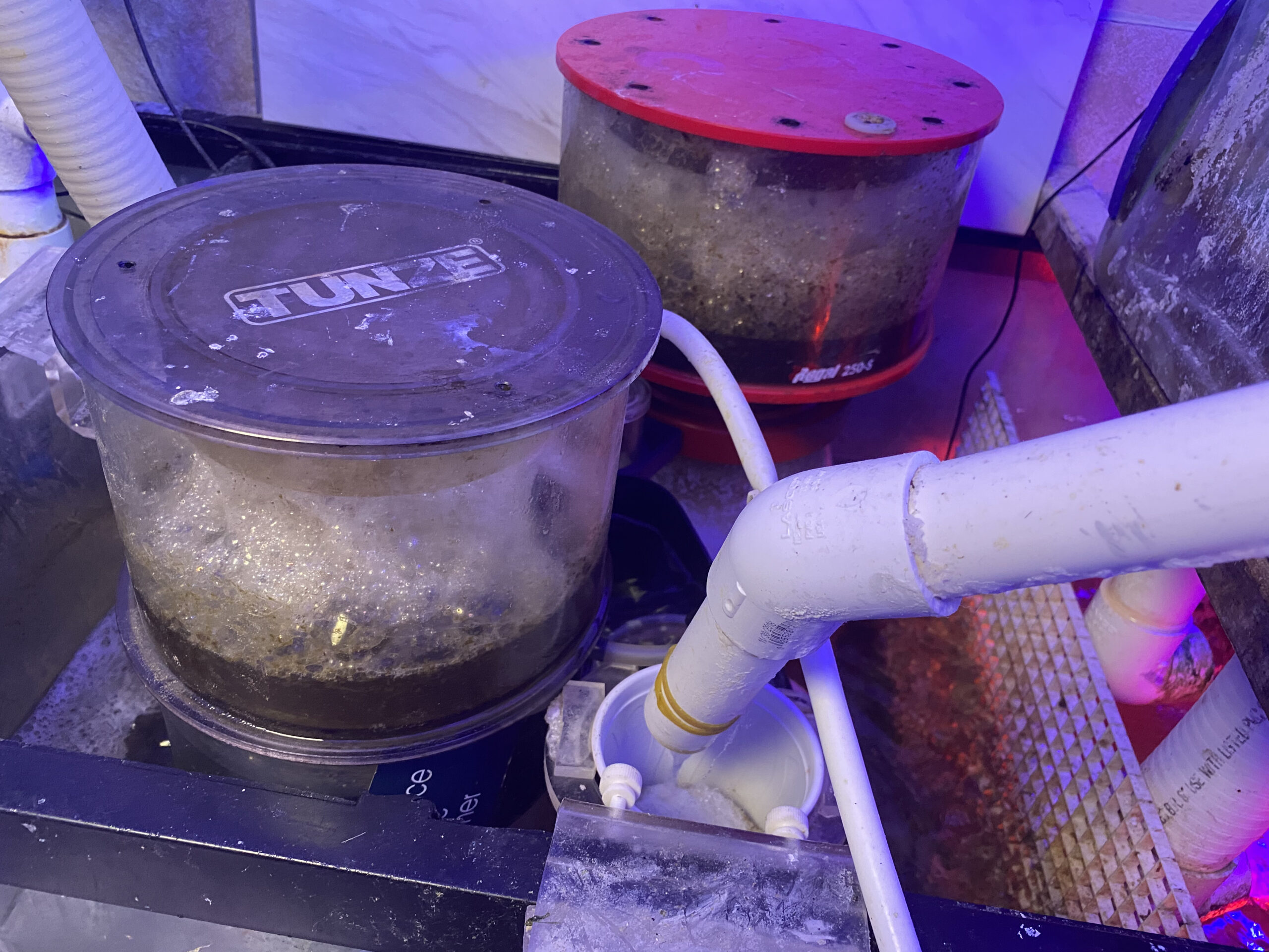 Paletta on Protein Skimming Reef Builders The Reef and Saltwater