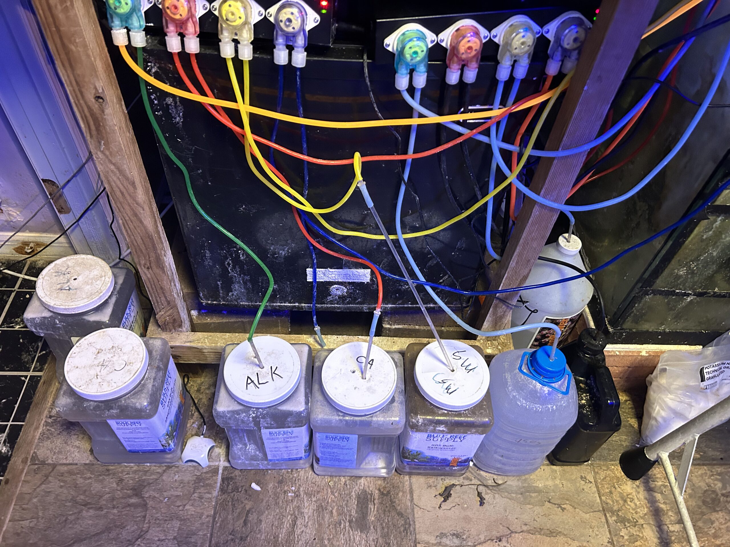 The Importance of Calcium, Alkalinity, and Magnesium in a Reef Tank