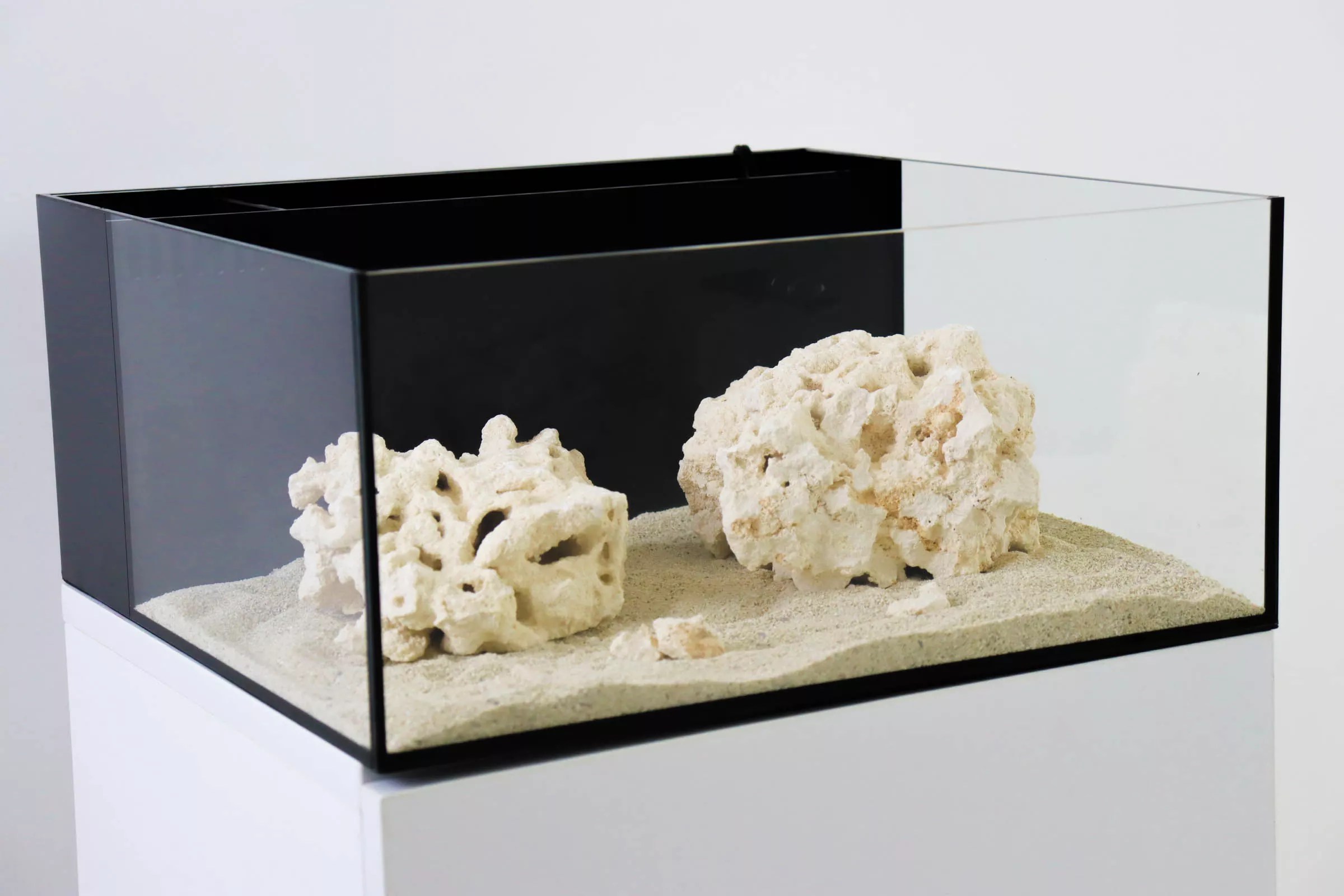 Nano Reef Tank Kit lupon.gov.ph
