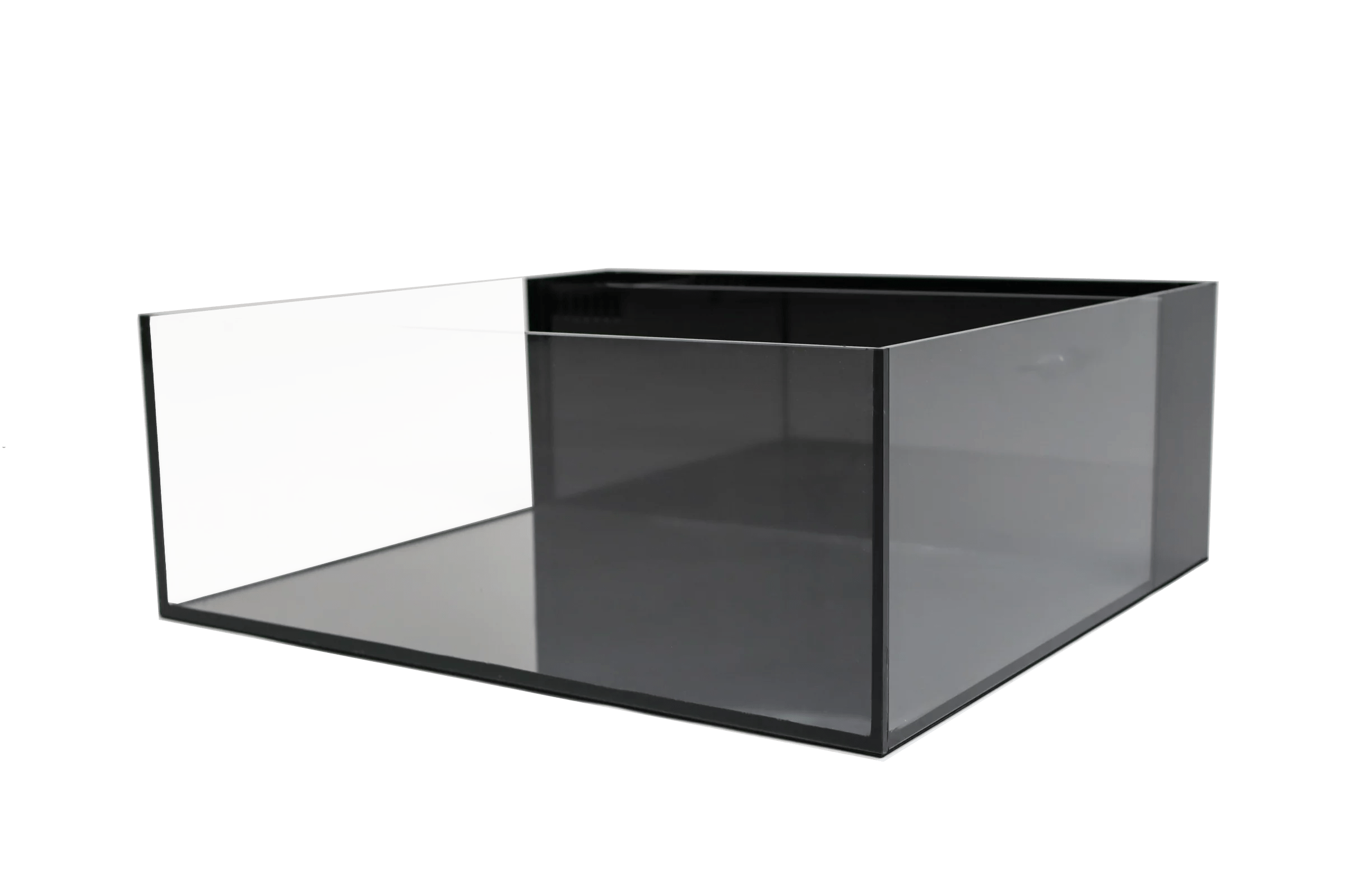 Shallow Reef Aquariums Reef Casa