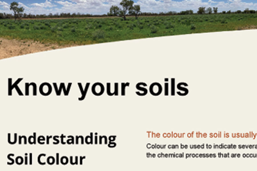 Understanding Soil Colour Reef Catchments
