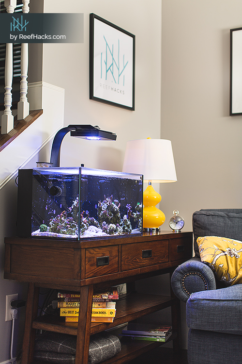 The Ultimate Beginners Guide to Reef Tank Lighting (2018 Update)