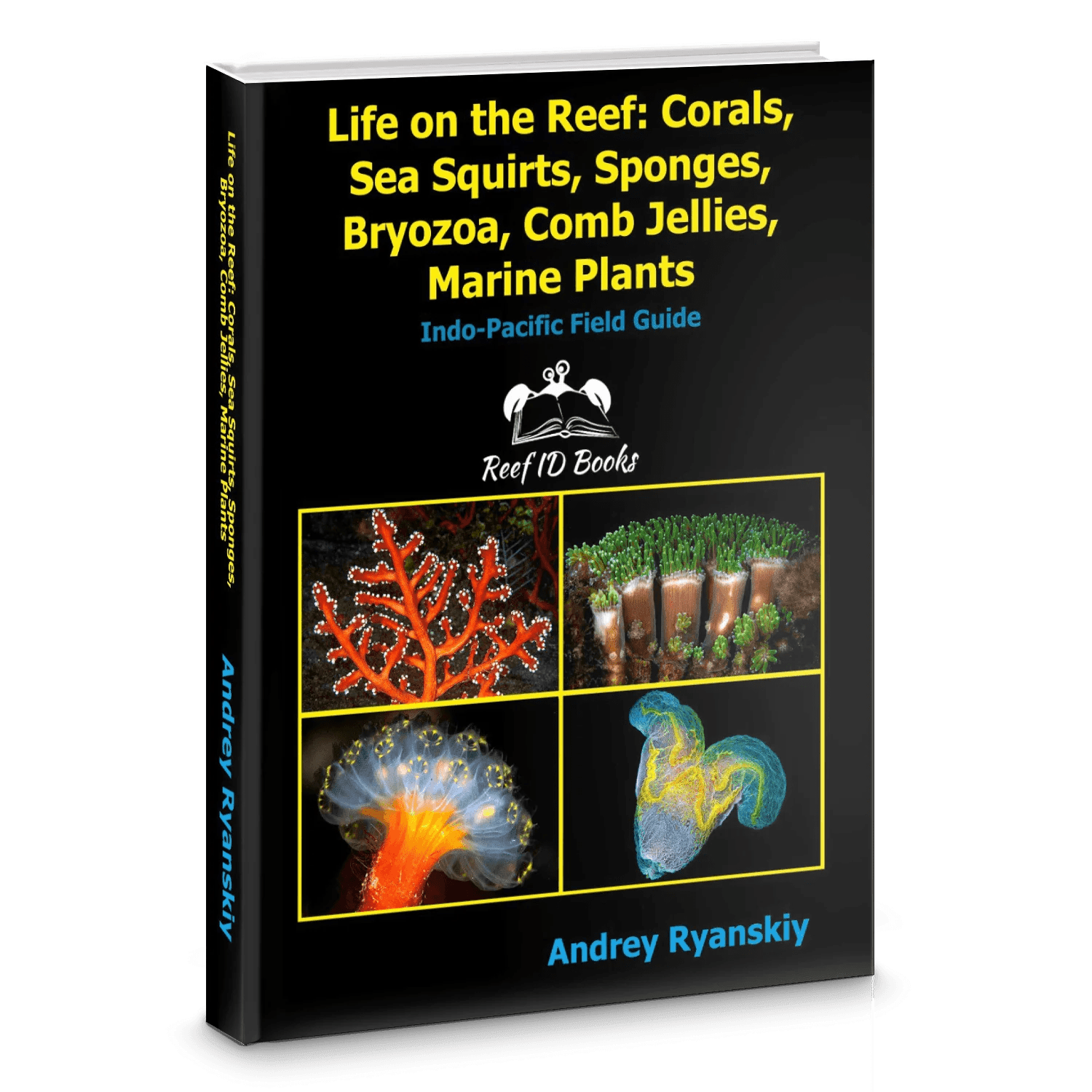 Life on the Reef Corals, Sea Squirts, Sponges, Bryozoa, Comb Jellies