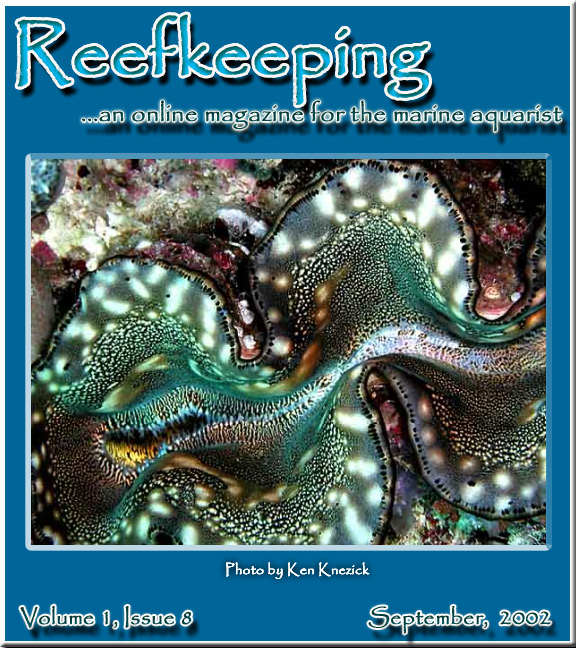 Home Reef Keeping Online Magazine