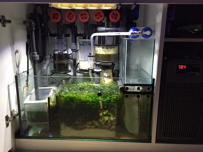 Red Sea Reefer Clean Sump Setup