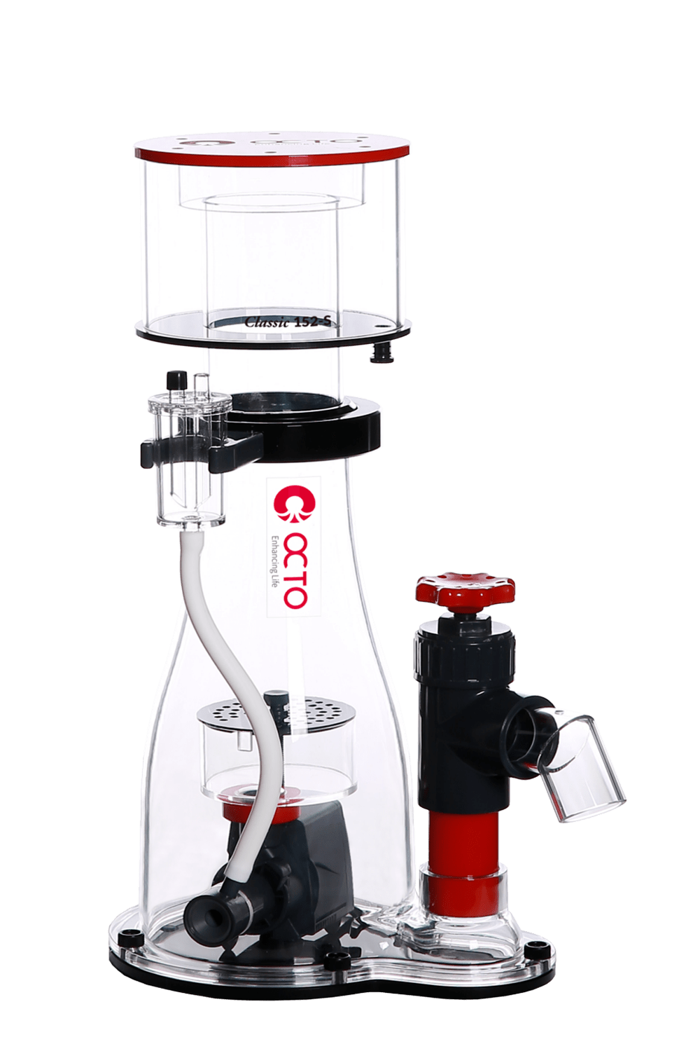 Skimmers Reef Octopus