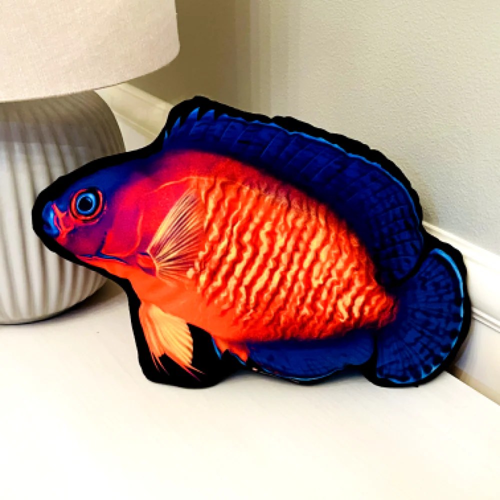 Coral Beauty Angelfish Pillow Reef of Clowns LLC