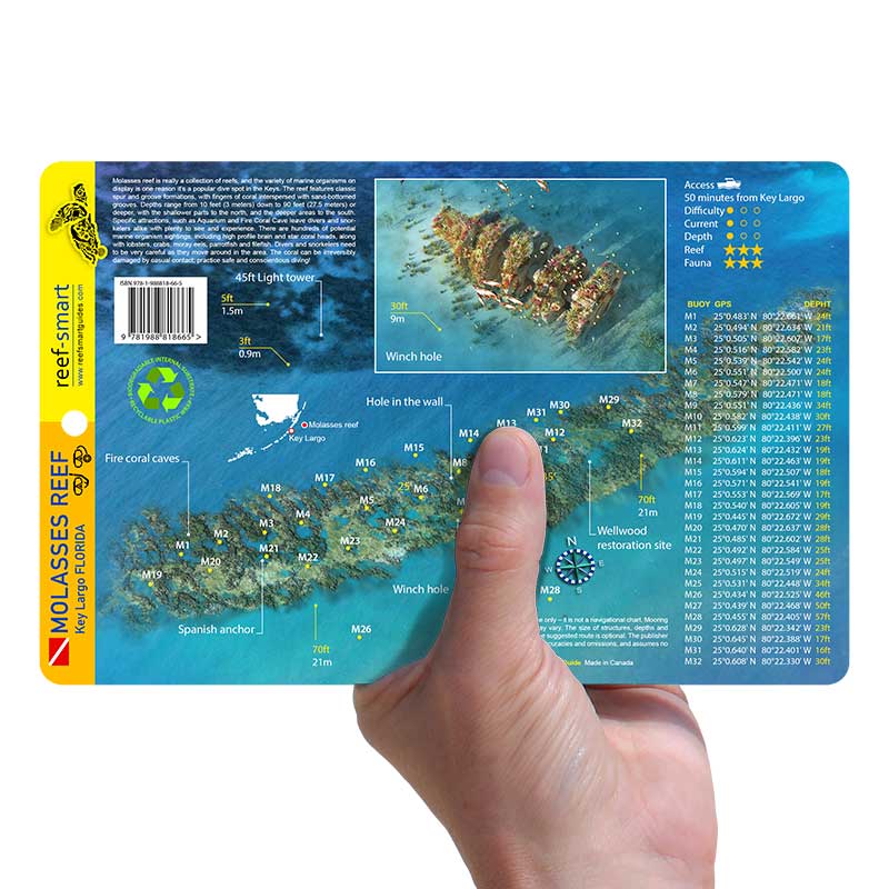 Molasses Reef Reef Smart Guides