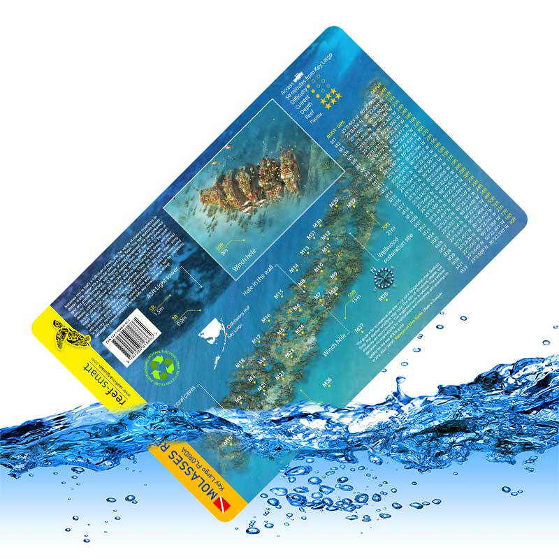 Molasses Reef Reef Smart Guides
