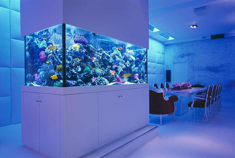 Aquarium Volume Calculator & Fish Tank Dimensions Reef Tank Resource