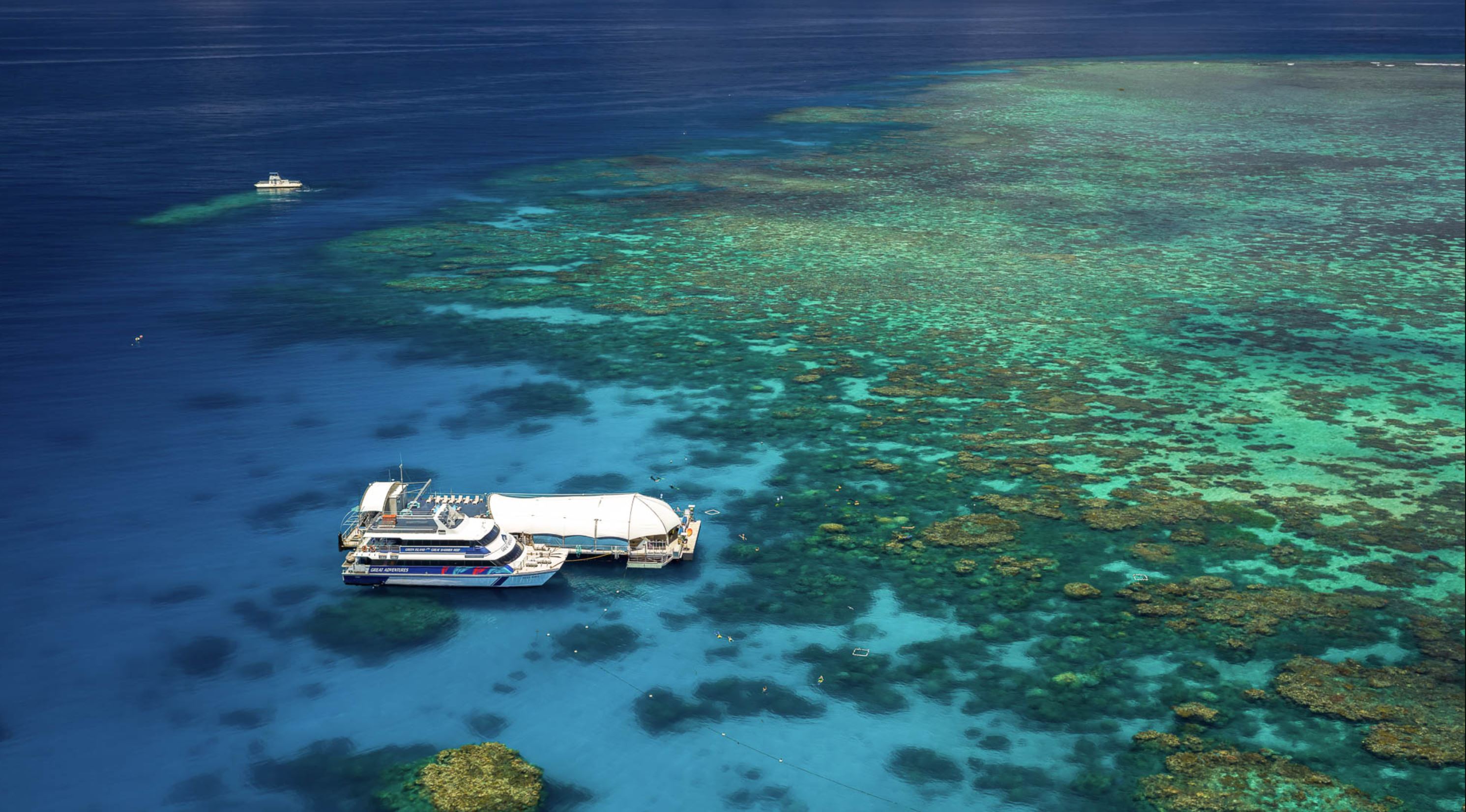 Great Barrier Reef day tours Choose from the best reef tours