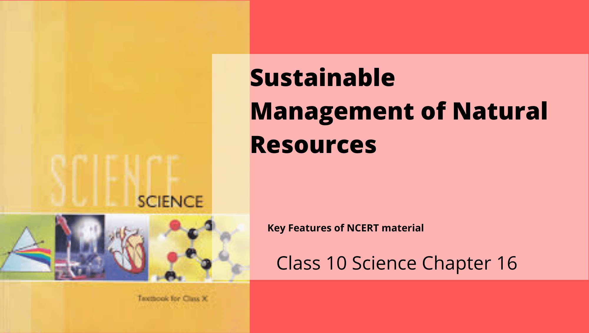 Sustainable Management of Natural Resources Class 10 Science NCERT