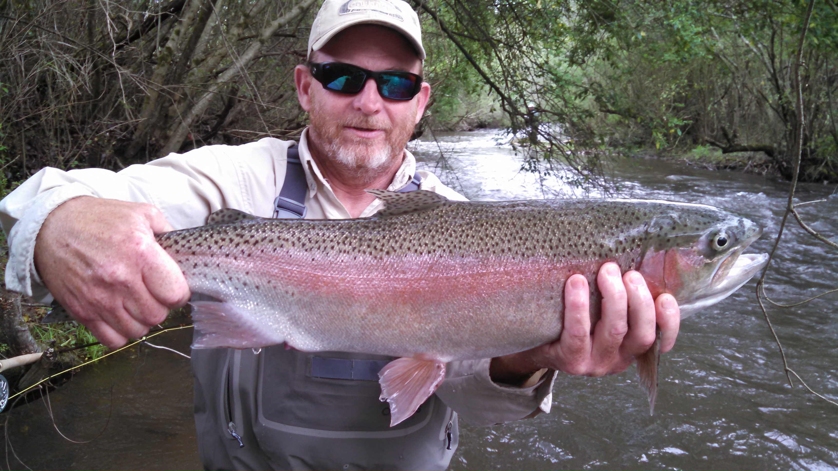 Best Trout Fishing In Helen Ga All About Fishing