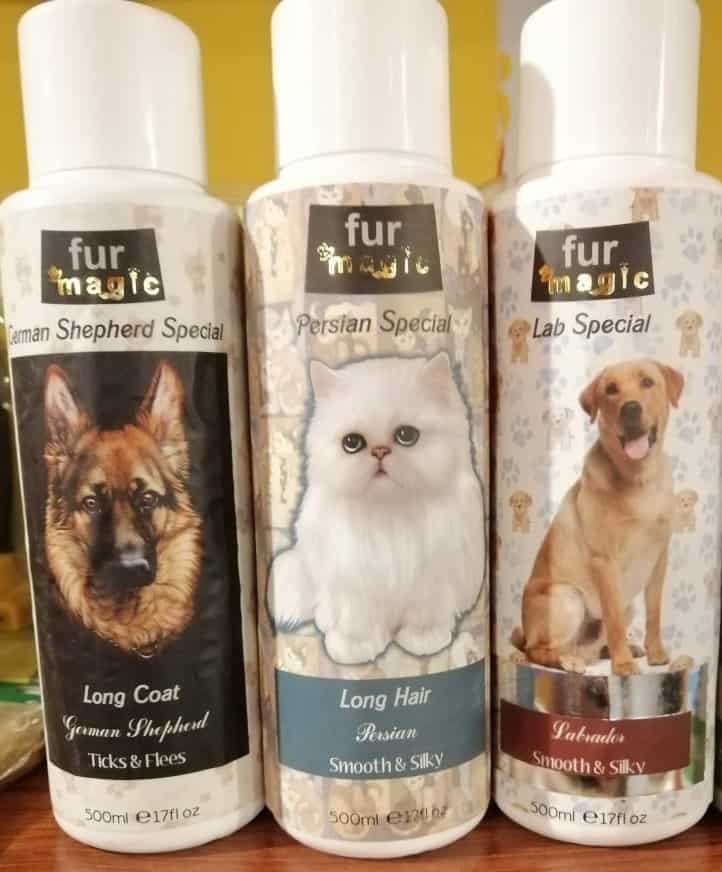 Is Dog Shampoo Safe For Cats