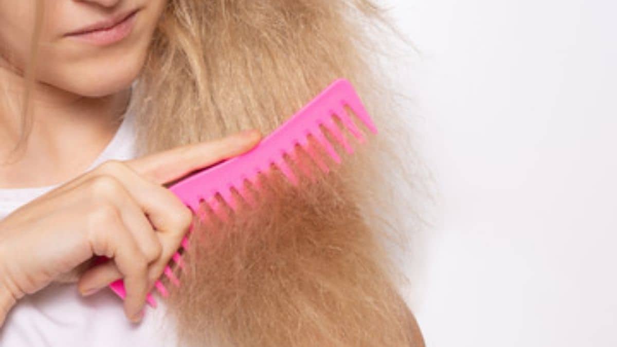 How to fix fried hair overnight ReenaSidhu