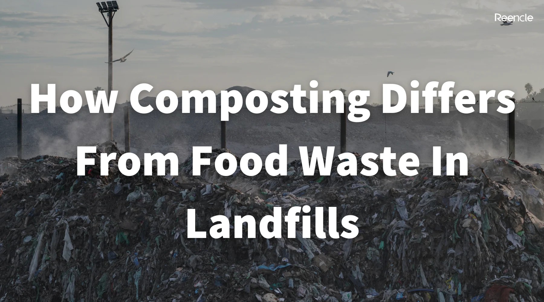 How Composting Differs From Food Waste In Landfills Reencle Malaysia