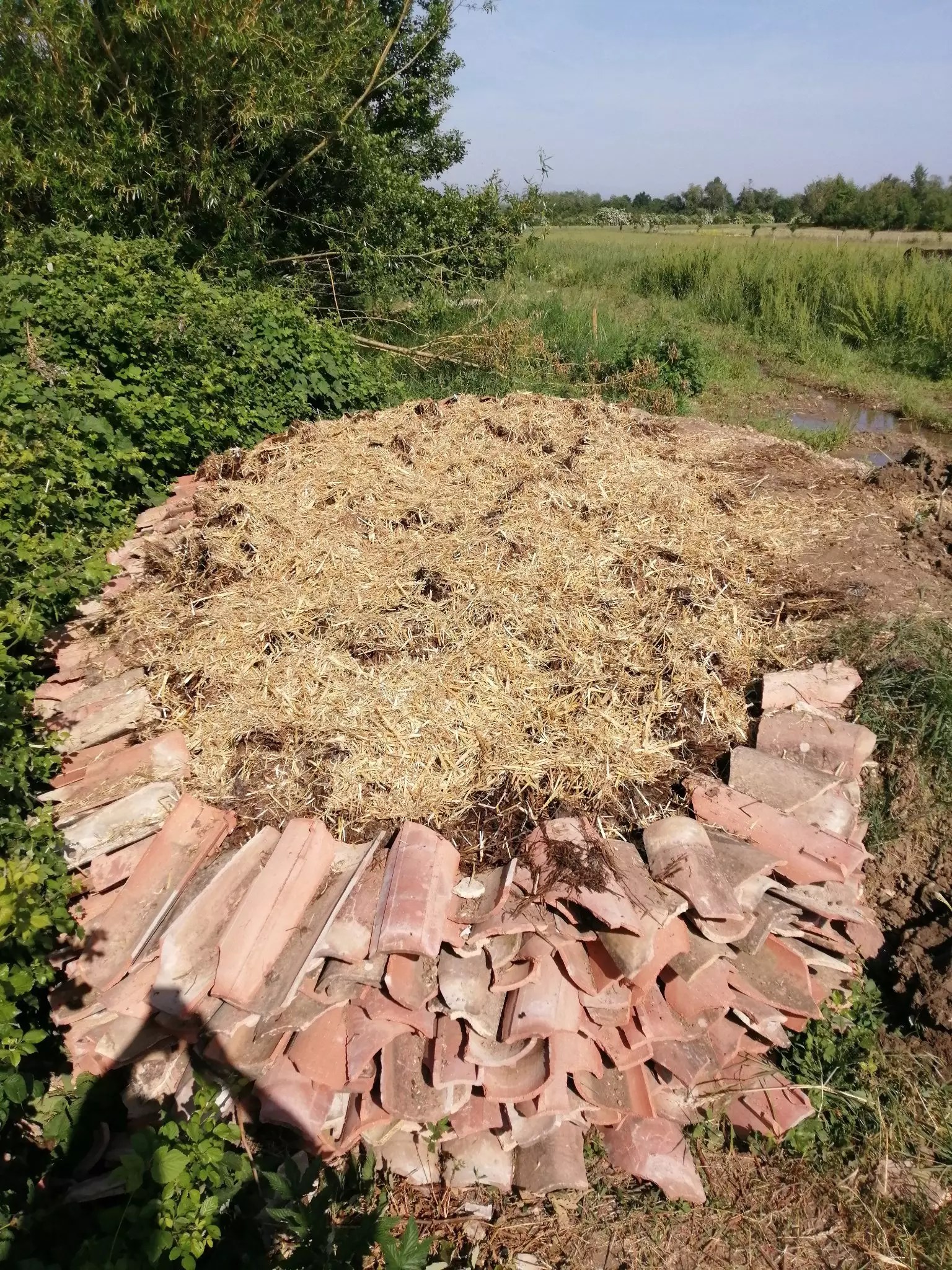 Hibernaculum paysan, Version 1, terminé Reensauvager La Ferme
