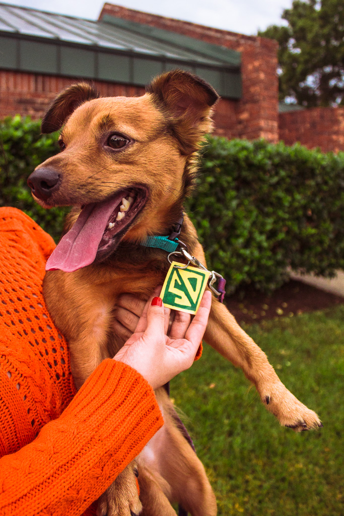 Easy DIY Scooby Doo Dog and Owner Halloween Costume Reesa Rei