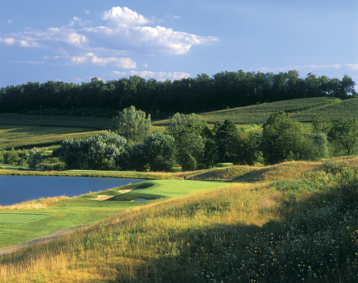 Totteridge Golf Course Designed by Rees Jones, Inc.