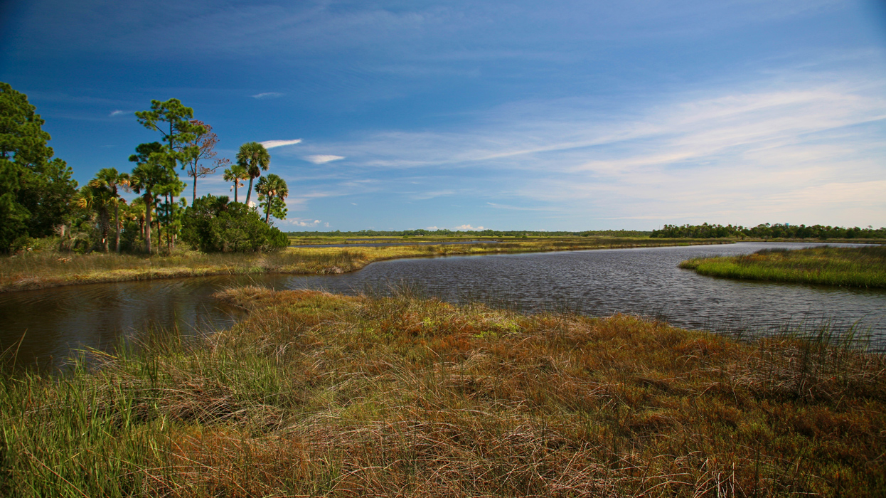 Creek Course At Hammock Dunes Designed by Rees Jones, Inc.