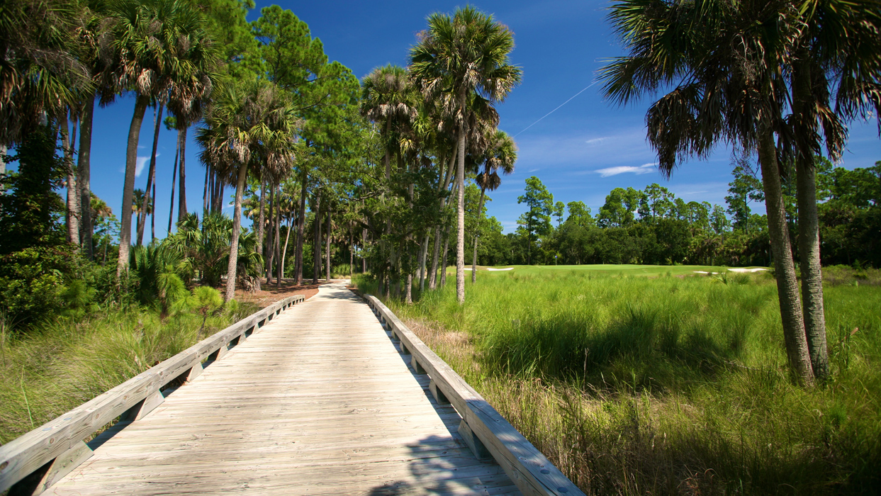 Creek Course At Hammock Dunes Designed by Rees Jones, Inc.