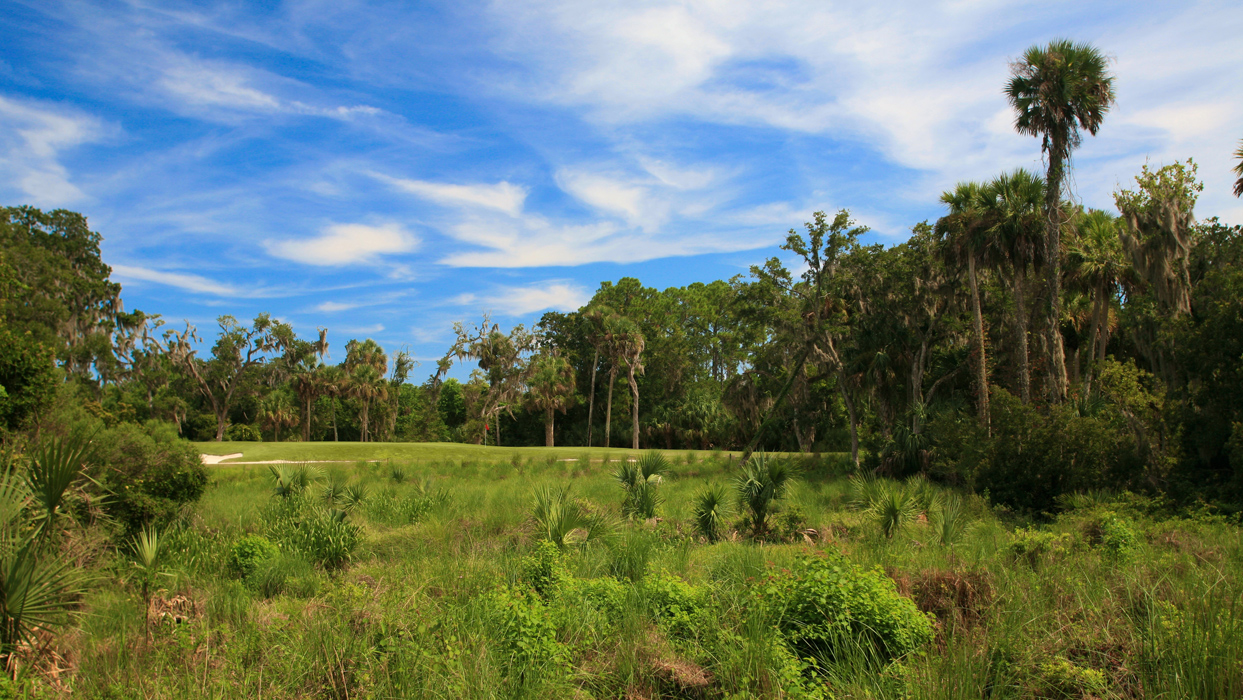 Creek Course At Hammock Dunes Designed by Rees Jones, Inc.