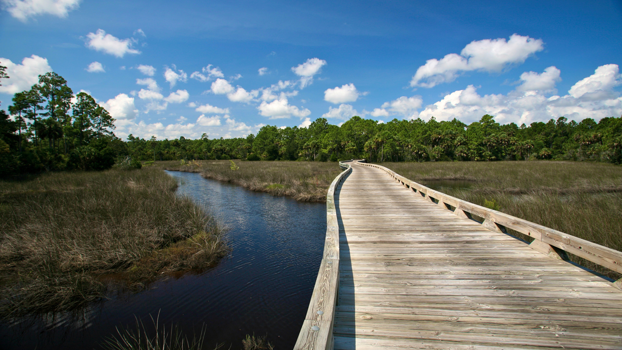 Creek Course At Hammock Dunes Designed by Rees Jones, Inc.